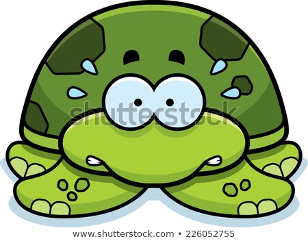 Stock fotó: Nervous Little Sea Turtle