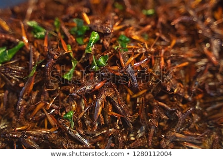 Stockfoto: Fried Insects In The Walking Street Market Phuket Thailand