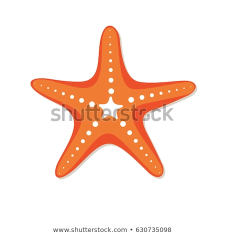 Сток-фото: Star Fish