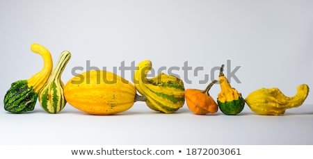 Foto d'archivio: Panorama Of Orange Green And Red Pumpkins