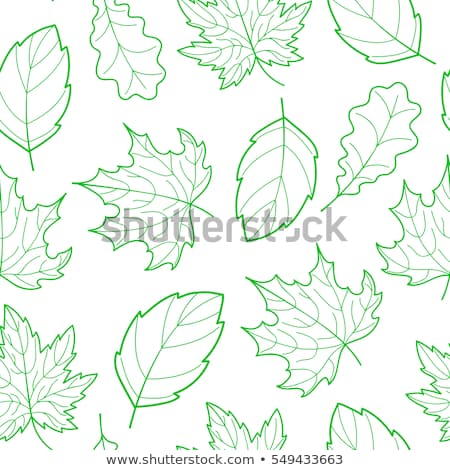 Foto stock: Autumn Leaves Seasonal Template Design Eps 8