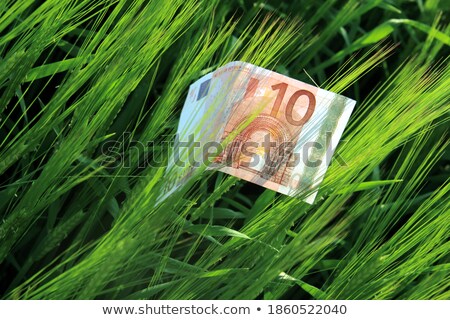 Stockfoto: Green Hemp Leaf On Euro Money