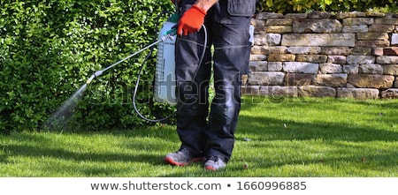 Stockfoto: Weed