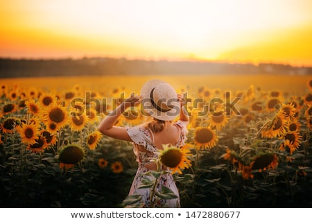 Stockfoto: Woman With Hat On Sunflowers Field At Sunset