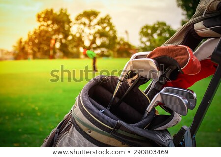 Сток-фото: Golf Bags With Group Of Players