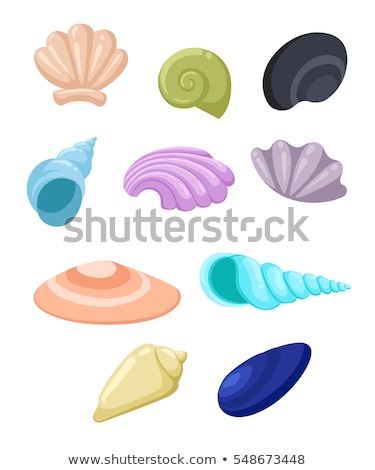 Stockfoto: Shells Collection Seashells Vector Set Starfish For Design And Scrapbooking Vintage Style Conch She