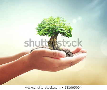Foto stock: Green Concept Tree On The Earth In Hand