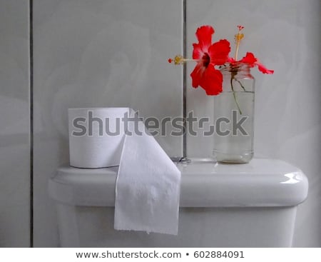 Stockfoto: Two Vases With Clean Water And Hibiskus Flower