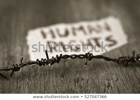 Foto stock: Human Rights Text On Paper