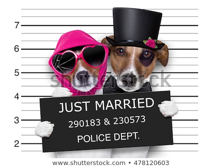 Foto d'archivio: Mugshot Just Married Dogs