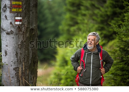 Stok fotoğraf: Active Senior Hiking In High Mountains