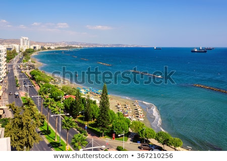 Zdjęcia stock: Coast Line On Cyprus With Mediterranean Sea And Palm Tree