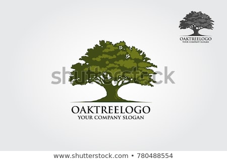 Stok fotoğraf: Oak Tree