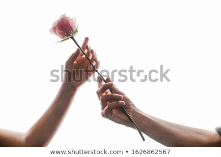 Stock fotó: Woman Holding Rose Petals