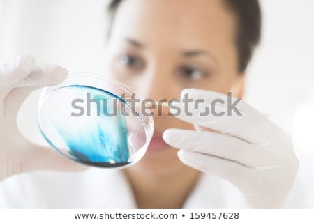 Stock photo: Scientist Examining Petri Dish