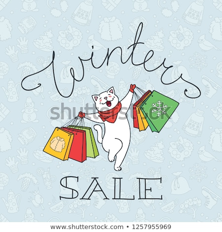 [[stock_photo]]: Snowflakes Bag Template Eps 8