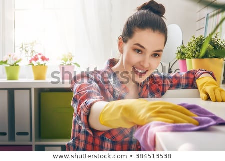 Stock photo: Beautiful Young Woman Makes Cleaning The House Girl Cleaning Ki