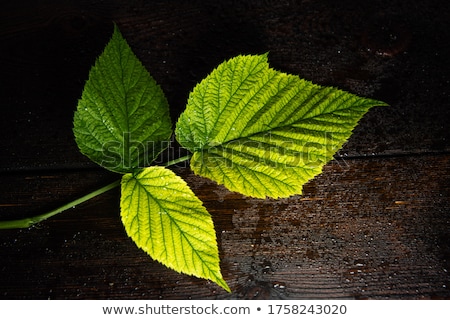 Foto stock: Fresh Raspberry With Leaves On Wooden Background