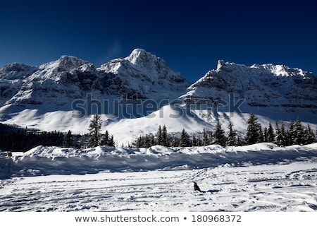 Stockfoto: Aven · in · de · winter · bij · halte · langs · de · weg