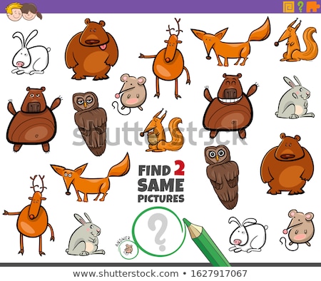 Stock fotó: Find Two Identical Animals Task For Children