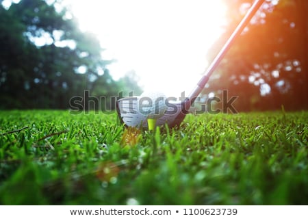 Stockfoto: Golf Tournament