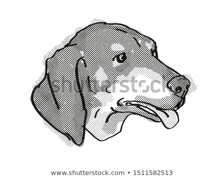 Zdjęcia stock: Black And Tan Coonhound Dog Breed Cartoon Retro Drawing