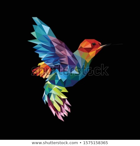 Foto d'archivio: Polygonal Hummingbird