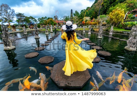 Stok fotoğraf: Young Woman Tourist In Taman Tirtagangga Water Palace Water Park Bali Indonesia