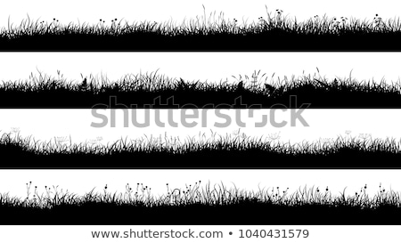 Grass Silhouette ストックフォト © Vertyr