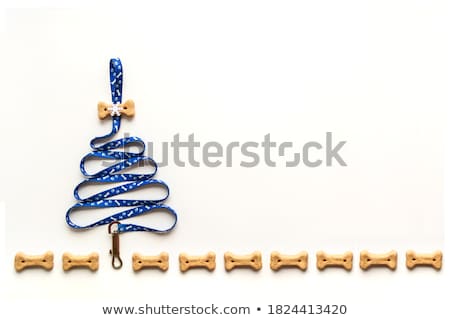 [[stock_photo]]: Dog Christmas Postcard