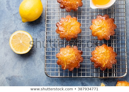 Stock photo: Lemon Muffins Cakes Financiers On A Cooling Rack Blue Stone Background
