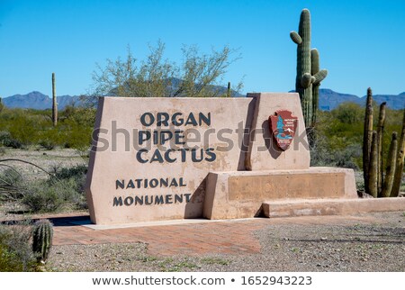 Foto stock: Ntrada · do · Parque · Nacional · Saguaro, · Arizona · eua