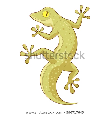 Stockfoto: Cartoon Gecko Sign