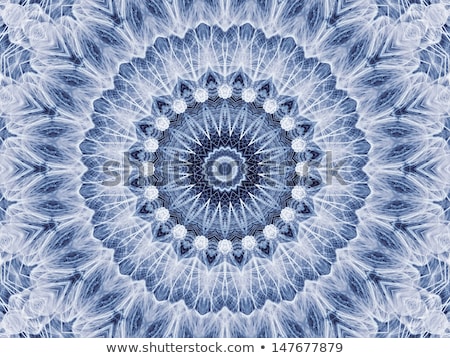 Stok fotoğraf: Abstract Radial Pattern Of Natural Large Dandelion Flower