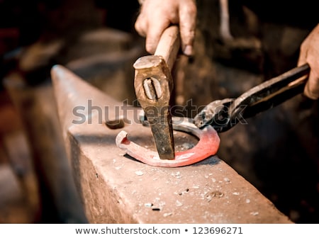 Stockfoto: Oefijzers · Gereedschap · Professionele · uitrusting · voor · paarden