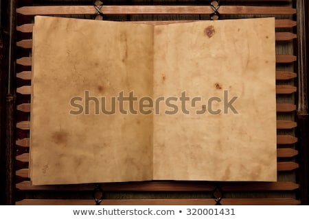 Stock photo: Antique Chinese Book Page