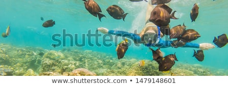 Stock fotó: Banner Long Format Happy Woman In Snorkeling Mask Dive Underwater With Tropical Fishes In Coral Ree