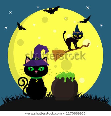 Сток-фото: Halloween Cat Flying On Broomstick Illustration