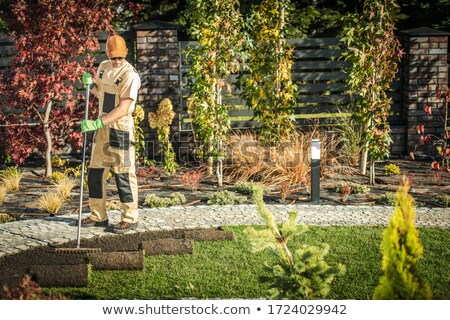 Сток-фото: Garden Rake Laying On Backyard Patio