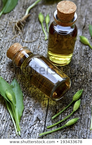 Stockfoto: Wild Garlic Tincture