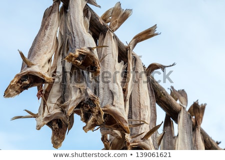 Foto d'archivio: Fish Drying Outside