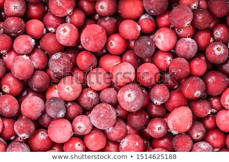 Stock photo: Frozen Cranberry Background