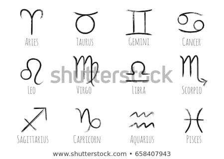 Сток-фото: Painted Zodiac Icon Set Vector Sign Isolated On White