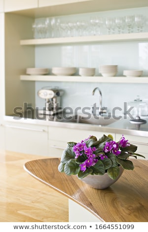 Stock foto: Violet In A Pot