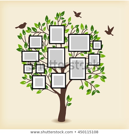 Foto stock: Tree With Photo Frames And Birds Vector