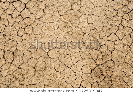 Foto stock: Dried Cracked Earth