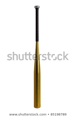 Zdjęcia stock: Metal Baseball Bat The American Favorite Sports