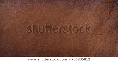 Foto d'archivio: Brown Leather Texture