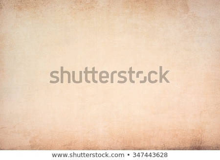 Braune Grunge-Wand Stock foto © ilolab