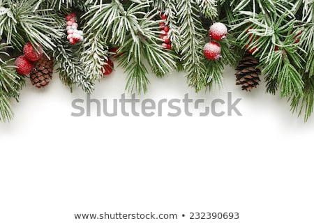 Сток-фото: Christmas Tree Branch On The Snow Covered Wooden Background